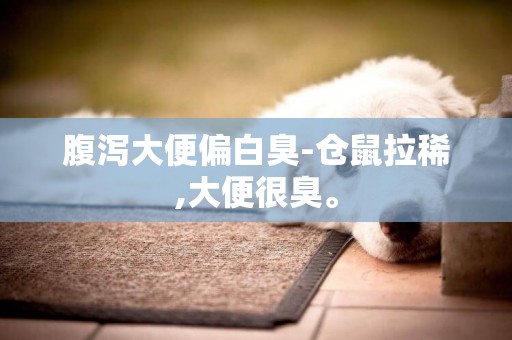 腹瀉大便偏白臭-倉鼠拉稀,大便很臭。