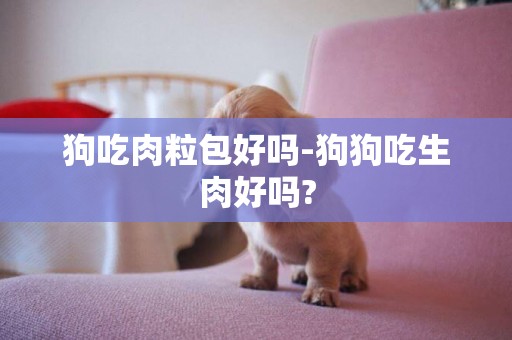 狗吃肉粒包好嗎-狗狗吃生肉好嗎?