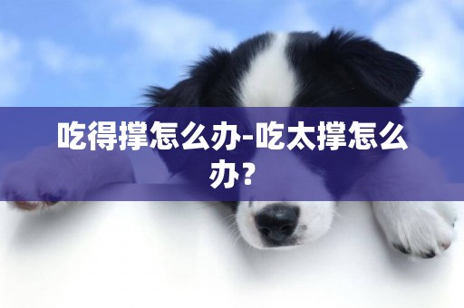 吃得撐怎么辦-吃太撐怎么辦？