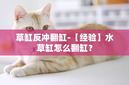 草缸反沖翻缸-【經驗】水草缸怎么翻缸？
