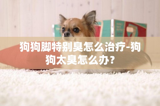 狗狗腳特別臭怎么治療-狗狗太臭怎么辦？