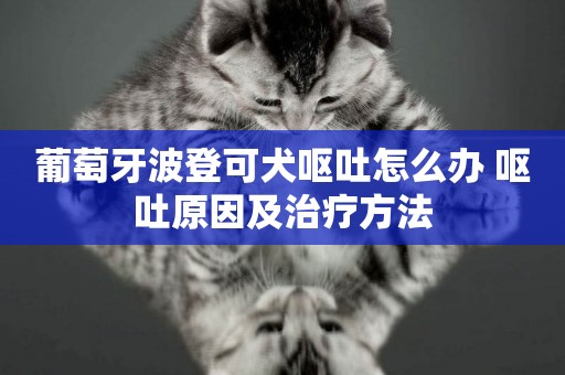 葡萄牙波登可犬嘔吐怎么辦 嘔吐原因及治療方法