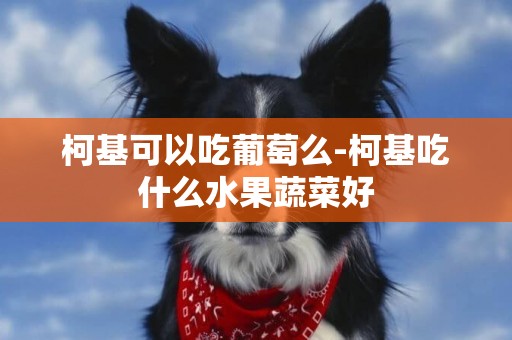 柯基可以吃葡萄么-柯基吃什么水果蔬菜好