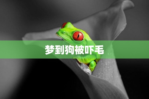 夢到狗被嚇毛