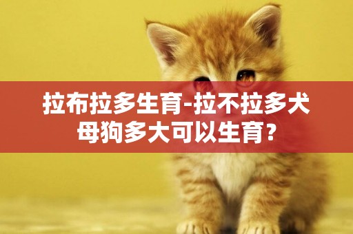 拉布拉多生育-拉不拉多犬母狗多大可以生育？