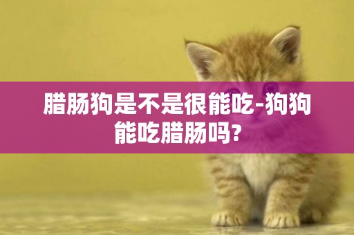 臘腸狗是不是很能吃-狗狗能吃臘腸嗎?