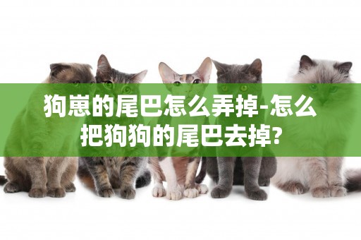 狗崽的尾巴怎么弄掉-怎么把狗狗的尾巴去掉?