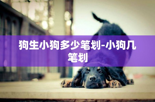 狗生小狗多少筆劃-小狗幾筆劃
