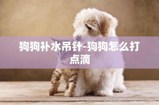 狗狗補水吊針-狗狗怎么打點滴