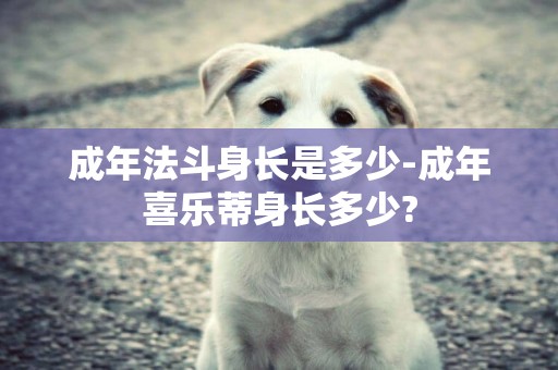 成年法斗身長是多少-成年喜樂蒂身長多少?