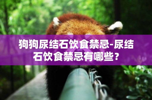 狗狗尿結石飲食禁忌-尿結石飲食禁忌有哪些？
