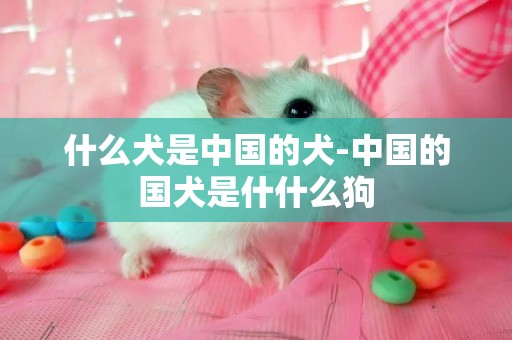 什么犬是中國的犬-中國的國犬是什什么狗