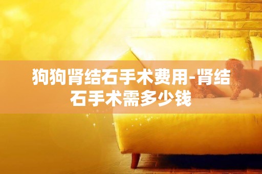 狗狗腎結石手術費用-腎結石手術需多少錢