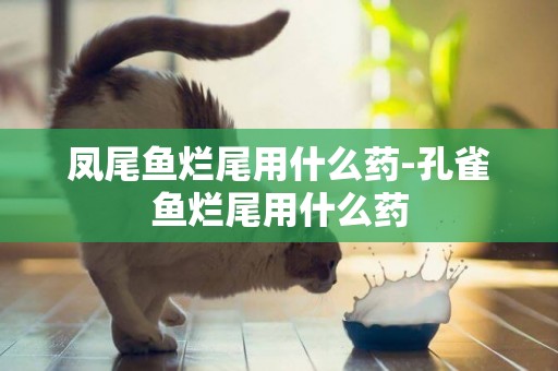 鳳尾魚爛尾用什么藥-孔雀魚爛尾用什么藥