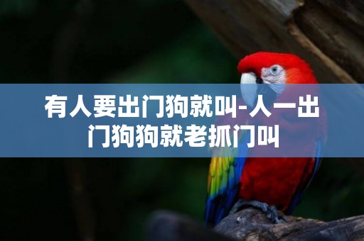 有人要出門狗就叫-人一出門狗狗就老抓門叫