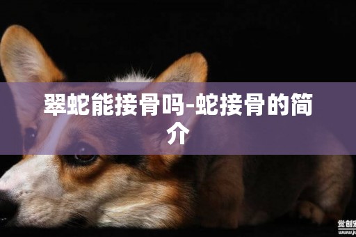 翠蛇能接骨嗎-蛇接骨的簡介