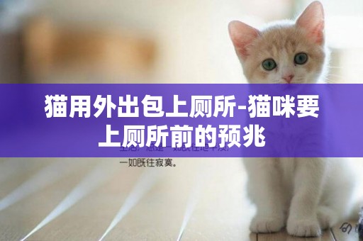 貓用外出包上廁所-貓咪要上廁所前的預兆