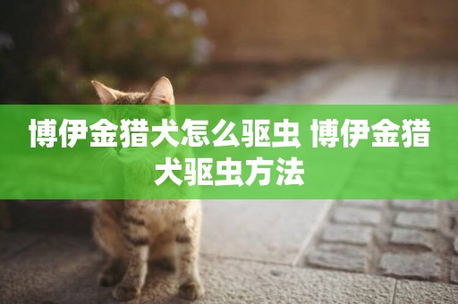 博伊金獵犬怎么驅蟲 博伊金獵犬驅蟲方法