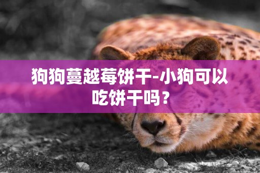 狗狗蔓越莓餅干-小狗可以吃餅干嗎？