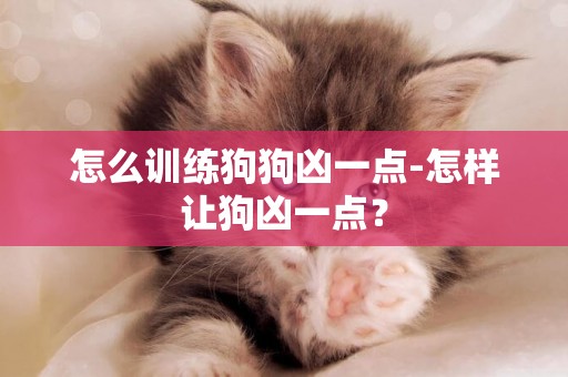 怎么訓練狗狗兇一點-怎樣讓狗兇一點？