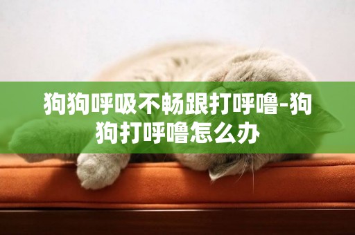 狗狗呼吸不暢跟打呼嚕-狗狗打呼嚕怎么辦