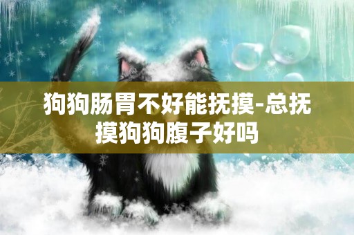 狗狗腸胃不好能撫摸-總撫摸狗狗腹子好嗎 狗狗腸胃不好能撫摸-總撫摸狗狗腹子好嗎