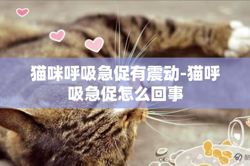 貓咪呼吸急促有震動-貓呼吸急促怎么回事