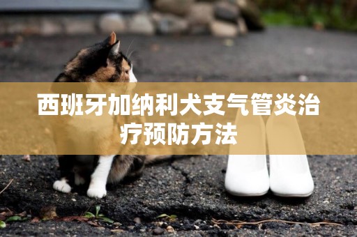 西班牙加納利犬支氣管炎治療預防方法
