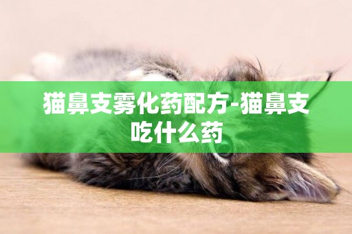 貓鼻支霧化藥配方-貓鼻支吃什么藥