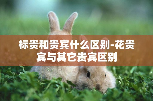 標貴和貴賓什么區別-花貴賓與其它貴賓區別