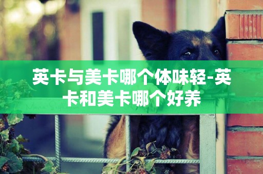 英卡與美卡哪個體味輕-英卡和美卡哪個好養
