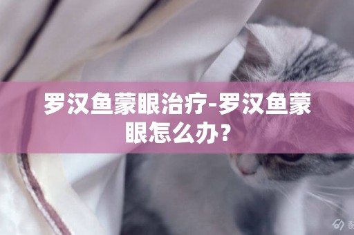 羅漢魚蒙眼治療-羅漢魚蒙眼怎么辦？
