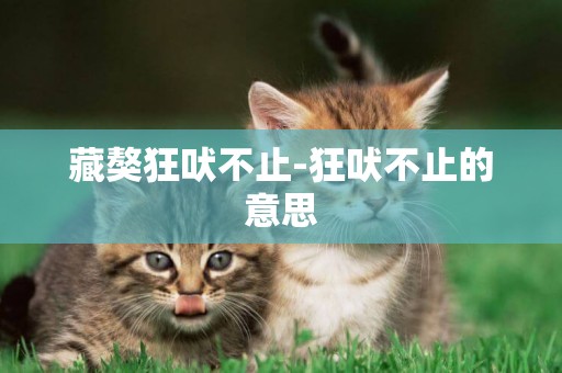 藏獒狂吠不止-狂吠不止的意思