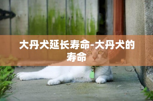 大丹犬延長壽命-大丹犬的壽命