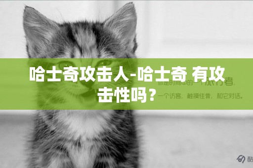 哈士奇攻擊人-哈士奇 有攻擊性嗎？