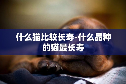 什么貓比較長壽-什么品種的貓最長壽