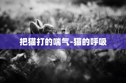 把貓打的喘氣-貓的呼吸
