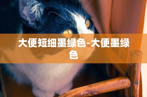 大便短細墨綠色-大便墨綠色
