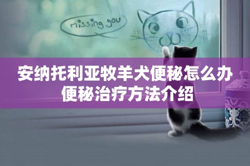 安納托利亞牧羊犬便秘怎么辦 便秘治療方法介紹