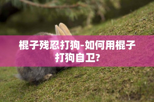 棍子殘忍打狗-如何用棍子打狗自衛?