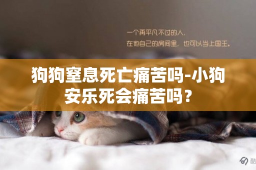 狗狗窒息死亡痛苦嗎-小狗安樂死會痛苦嗎？