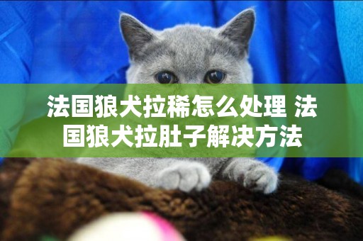 法國狼犬拉稀怎么處理 法國狼犬拉肚子解決方法