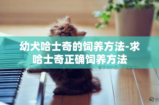 幼犬哈士奇的飼養方法-求哈士奇正確飼養方法