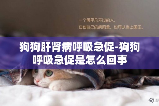 狗狗肝腎病呼吸急促-狗狗呼吸急促是怎么回事