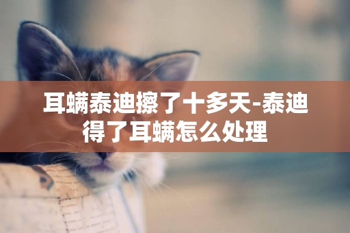 耳螨泰迪擦了十多天-泰迪得了耳螨怎么處理