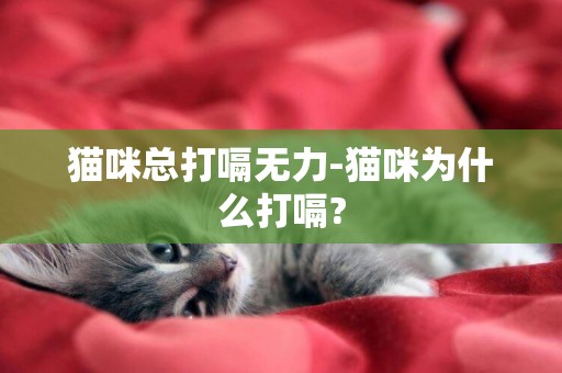 貓咪總打嗝無力-貓咪為什么打嗝?
