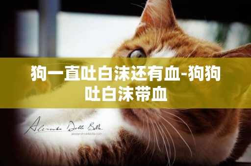 狗一直吐白沫還有血-狗狗吐白沫帶血
