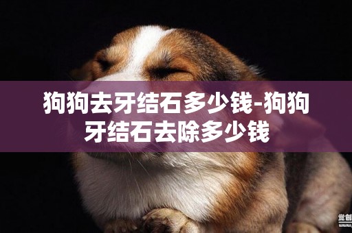 狗狗去牙結石多少錢-狗狗牙結石去除多少錢