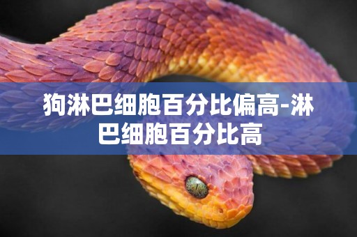 狗淋巴細胞百分比偏高-淋巴細胞百分比高