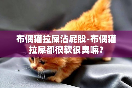 布偶貓拉屎沾屁股-布偶貓拉屎都很軟很臭嘛？